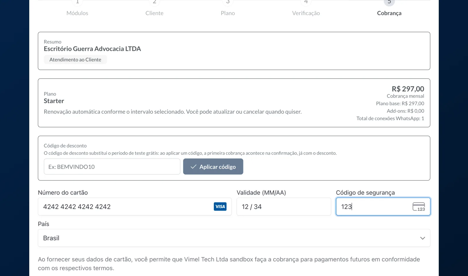 Billing step, with the client and plan summary, the discount code field and the card fields filled in with an example card.